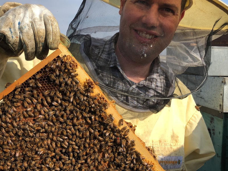 Candele in cera d'api - Azienda agricola Ghigo Miranda
